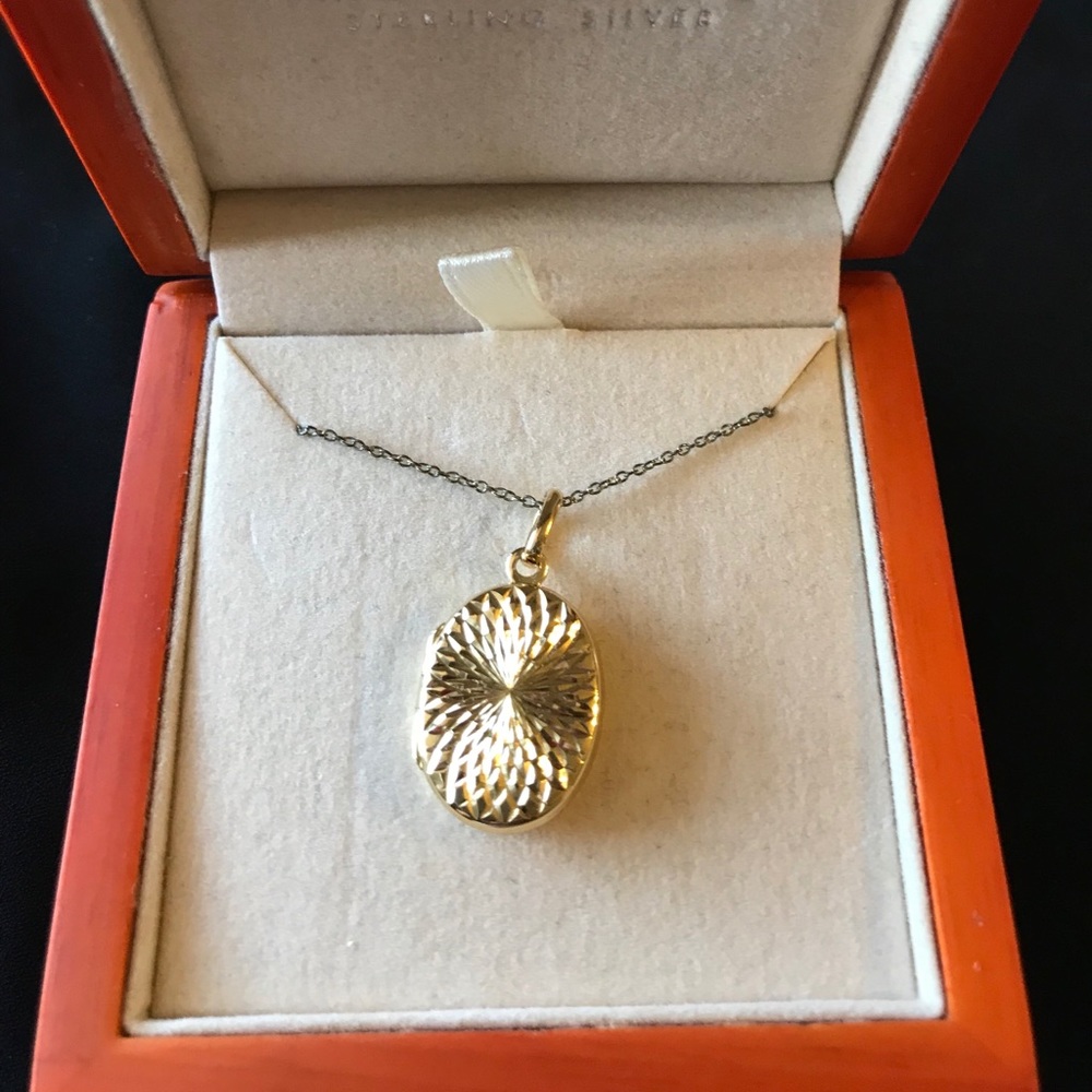 Brand New Gold Locket